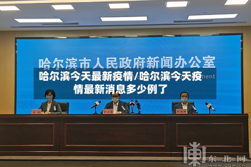 哈尔滨今天最新疫情/哈尔滨今天疫情最新消息多少例了-第2张图片