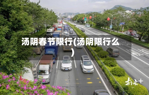 汤阴春节限行(汤阴限行么)-第3张图片