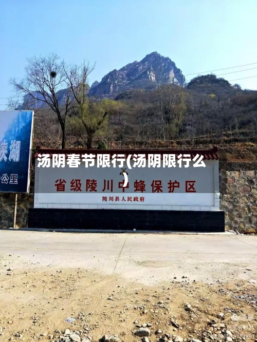 汤阴春节限行(汤阴限行么)-第2张图片