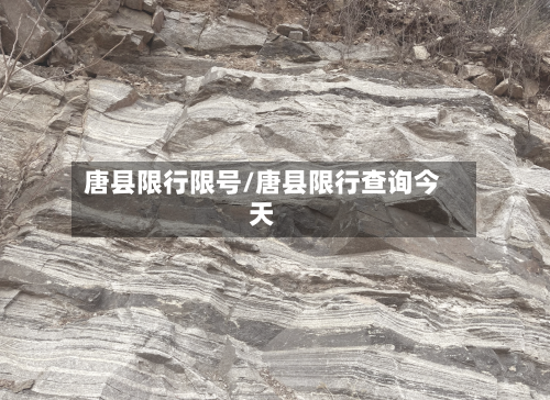唐县限行限号/唐县限行查询今天-第2张图片