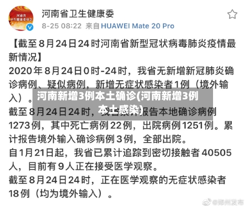 河南新增3例本土确诊(河南新增3例本土感染)-第2张图片