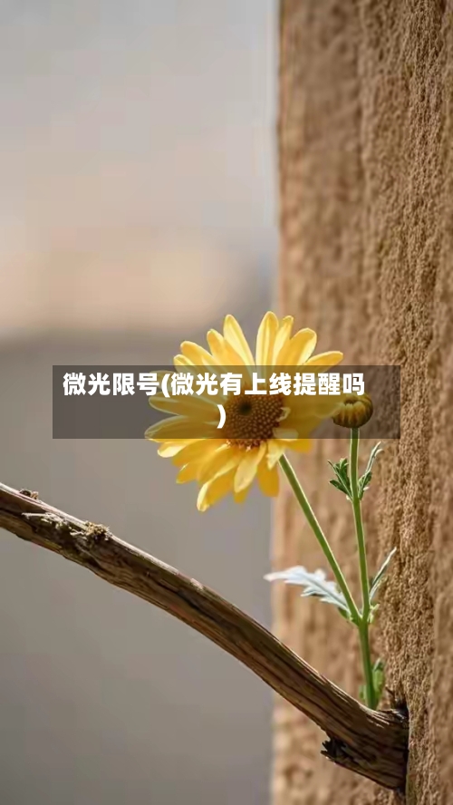 微光限号(微光有上线提醒吗)-第2张图片
