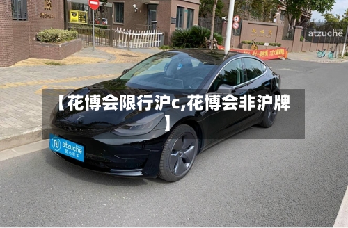 【花博会限行沪c,花博会非沪牌】