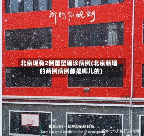 北京现有2例重型确诊病例(北京新增的两例病例都是哪儿的)-第3张图片