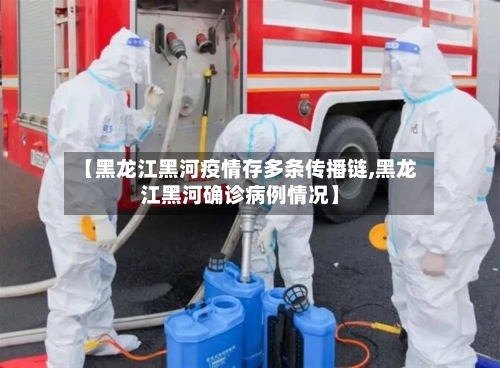 【黑龙江黑河疫情存多条传播链,黑龙江黑河确诊病例情况】