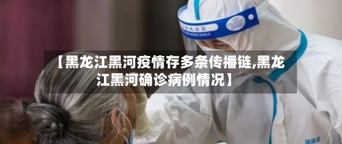 【黑龙江黑河疫情存多条传播链,黑龙江黑河确诊病例情况】-第3张图片
