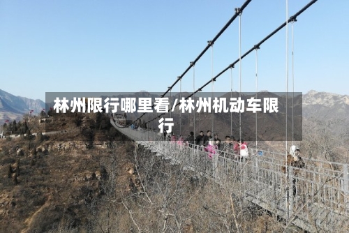 林州限行哪里看/林州机动车限行-第3张图片