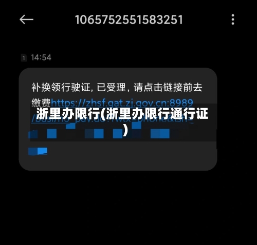 浙里办限行(浙里办限行通行证)