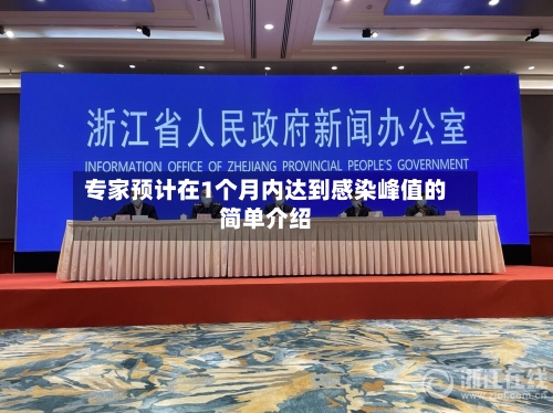 专家预计在1个月内达到感染峰值的简单介绍-第2张图片