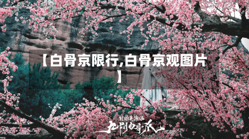 【白骨京限行,白骨京观图片】
