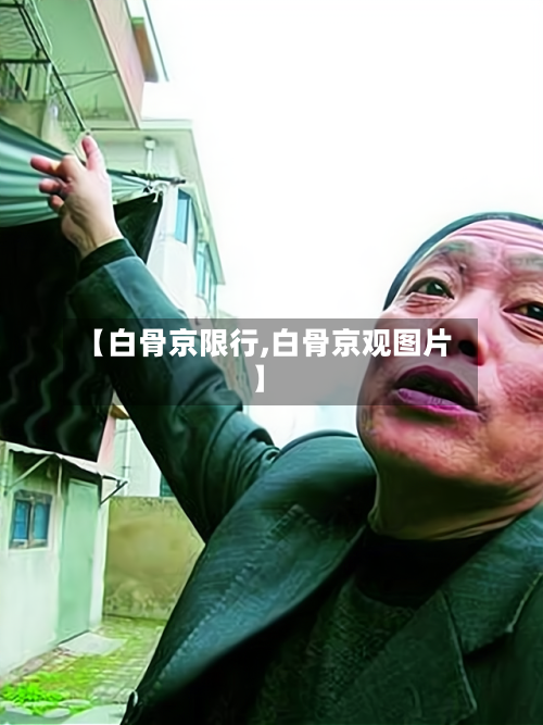 【白骨京限行,白骨京观图片】-第2张图片