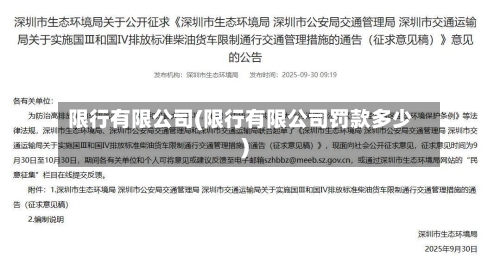 限行有限公司(限行有限公司罚款多少)
