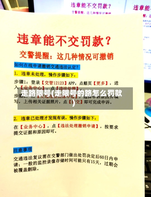 走路限号(走限号的路怎么罚款)-第2张图片