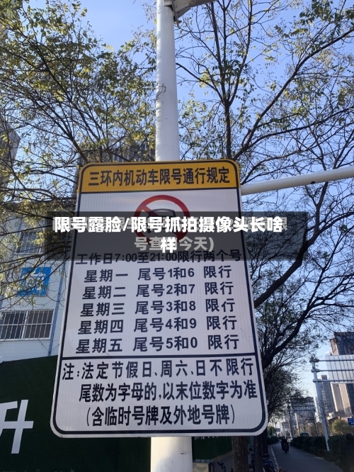 限号露脸/限号抓拍摄像头长啥样