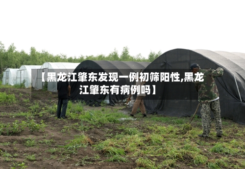 【黑龙江肇东发现一例初筛阳性,黑龙江肇东有病例吗】