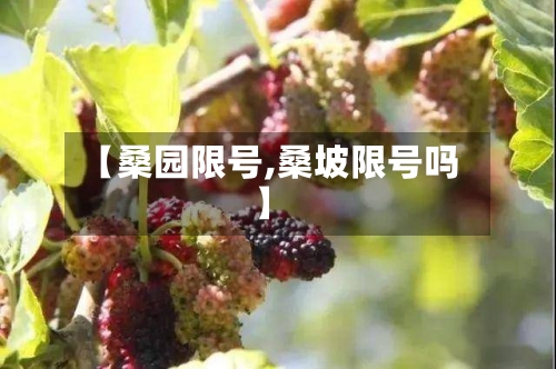 【桑园限号,桑坡限号吗】