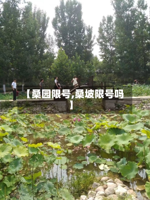 【桑园限号,桑坡限号吗】-第2张图片