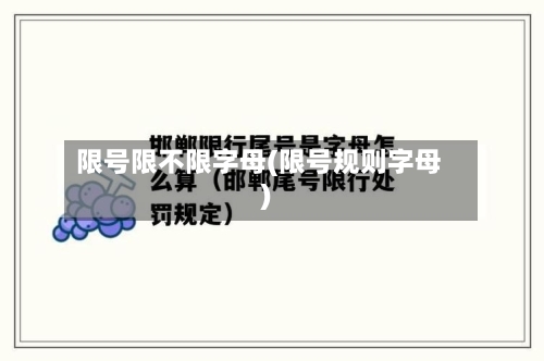 限号限不限字母(限号规则字母)-第3张图片