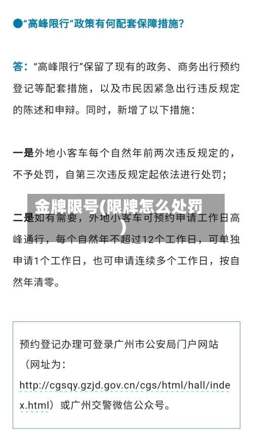 金牌限号(限牌怎么处罚)-第2张图片