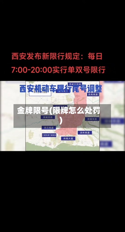 金牌限号(限牌怎么处罚)