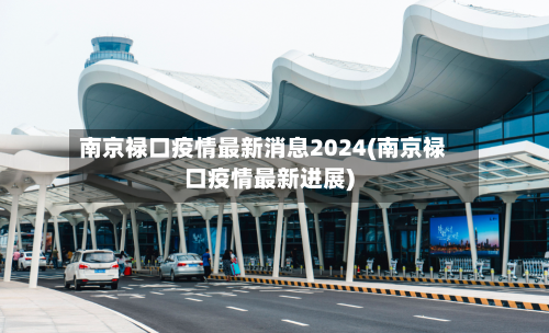 南京禄口疫情最新消息2024(南京禄口疫情最新进展)-第2张图片