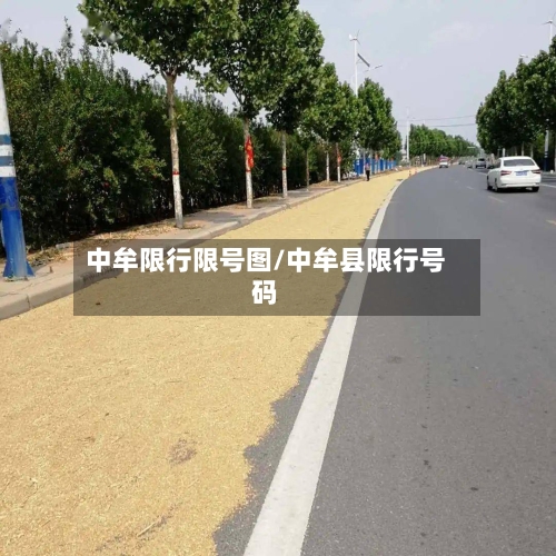 中牟限行限号图/中牟县限行号码