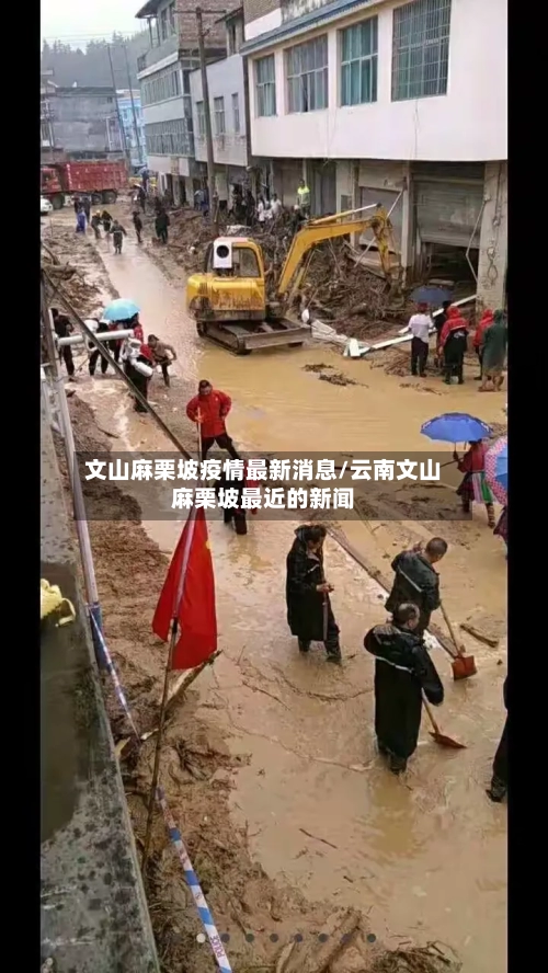 文山麻栗坡疫情最新消息/云南文山麻栗坡最近的新闻-第2张图片