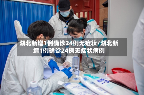 湖北新增1例确诊24例无症状/湖北新增1例确诊24例无症状病例-第2张图片