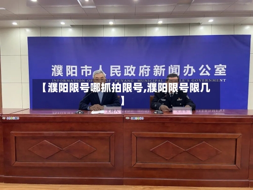 【濮阳限号哪抓拍限号,濮阳限号限几】-第3张图片