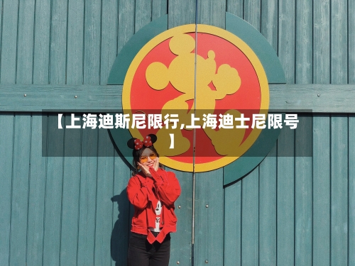 【上海迪斯尼限行,上海迪士尼限号】