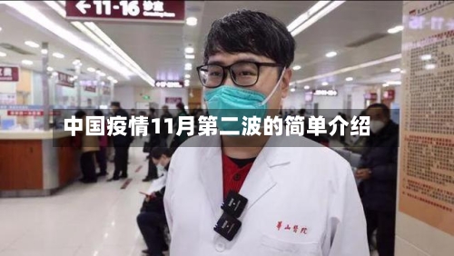 中国疫情11月第二波的简单介绍