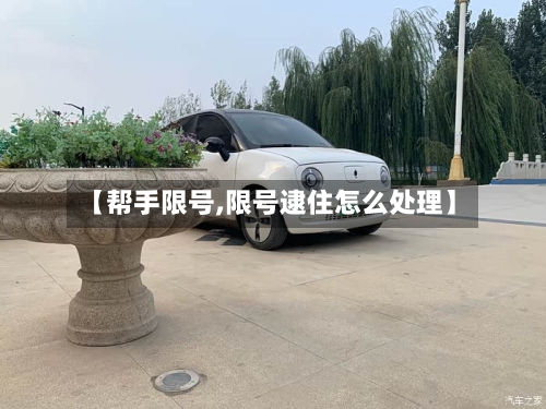 【帮手限号,限号逮住怎么处理】