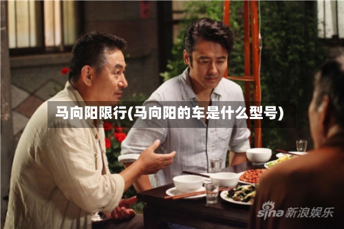 马向阳限行(马向阳的车是什么型号)-第2张图片