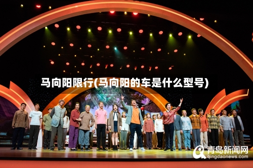 马向阳限行(马向阳的车是什么型号)