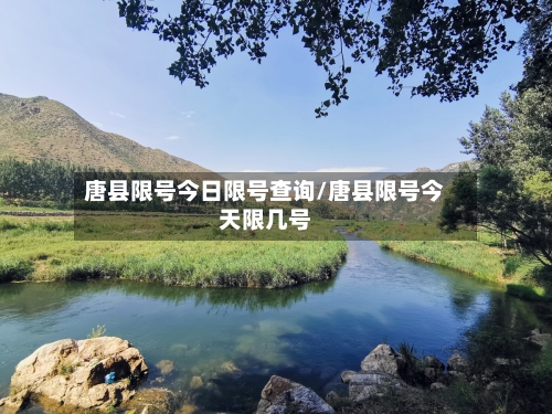 唐县限号今日限号查询/唐县限号今天限几号-第2张图片