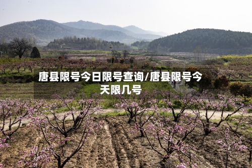 唐县限号今日限号查询/唐县限号今天限几号