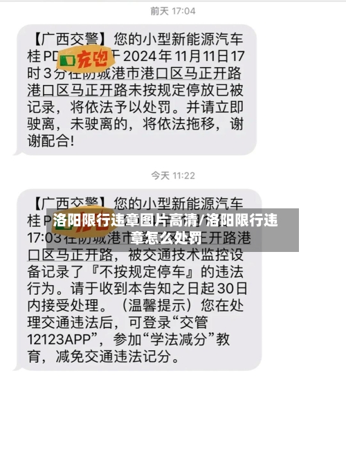 洛阳限行违章图片高清/洛阳限行违章怎么处罚
