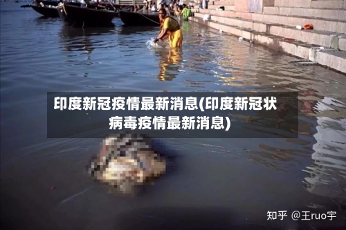 印度新冠疫情最新消息(印度新冠状病毒疫情最新消息)-第2张图片