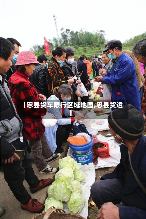 【忠县货车限行区域地图,忠县货运】-第2张图片