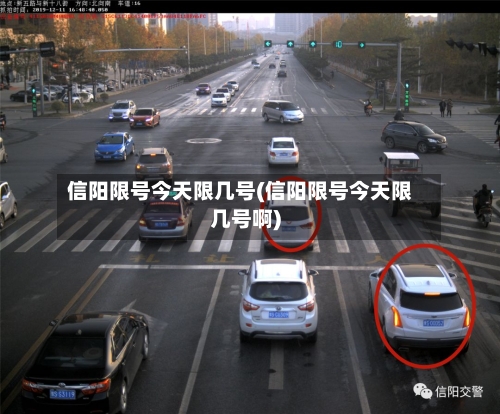 信阳限号今天限几号(信阳限号今天限几号啊)-第2张图片