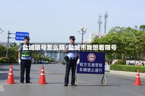 盐城限号怎么限/盐城市我想看限号