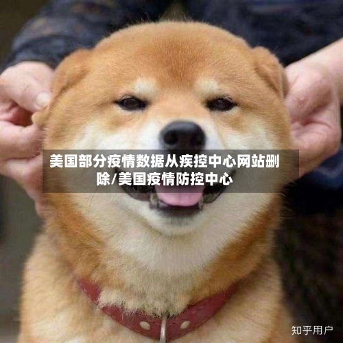 美国部分疫情数据从疾控中心网站删除/美国疫情防控中心-第2张图片