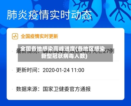 全国各地感染高峰进度(各地区感染新型冠状病毒人数)-第2张图片