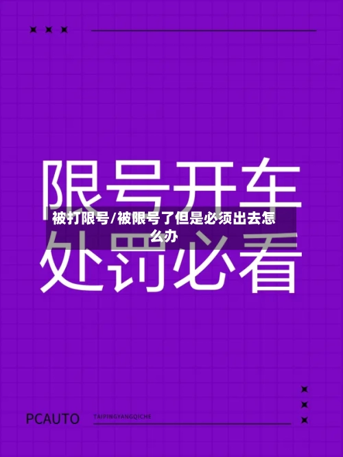 被打限号/被限号了但是必须出去怎么办-第2张图片