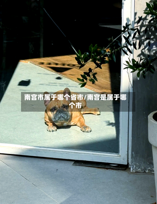 南宫市属于哪个省市/南宫是属于哪个市