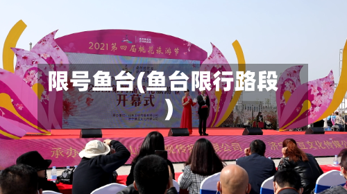 限号鱼台(鱼台限行路段)-第2张图片