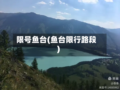 限号鱼台(鱼台限行路段)-第3张图片