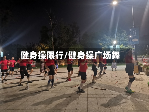健身操限行/健身操广场舞-第2张图片