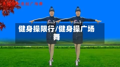 健身操限行/健身操广场舞