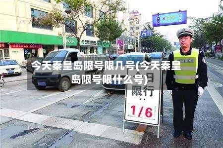 今天秦皇岛限号限几号(今天秦皇岛限号限什么号)